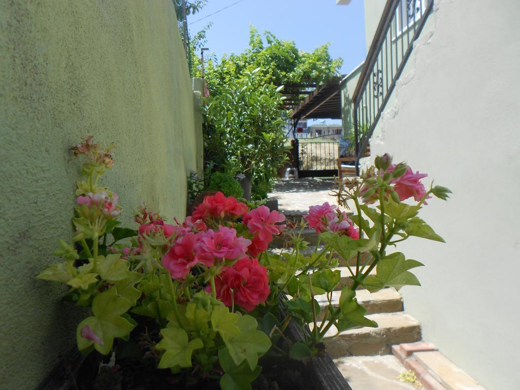Irmak Family Pension & Apartments Eceabat Quarto foto